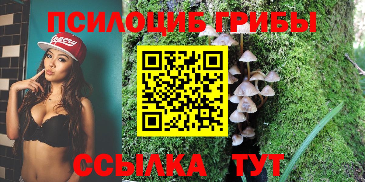 Кимры  Галлюциногенные грибы ЛСД  Вход с VPN  Псилоцибиновые грибы Psilocybe 